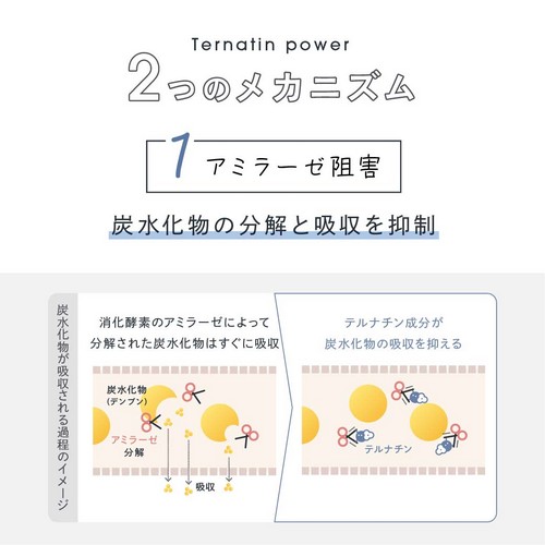 2つのメカニズム/1.アミラーゼ阻害/炭水化物の分解と吸収を抑制。