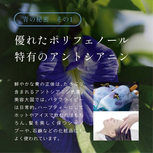 青の秘密その1　優れたポリフェノール特有のアントシアニン。鮮やかな青の正体は、たっぷり含まれるアントシアニン色素。美容大国では、バタフライピーは日常的。ハーブティーにしてホットやアイスで飲むのはもちろん、髪を美しく保つシャンプーや石鹸などの化粧品にもよく使われています。