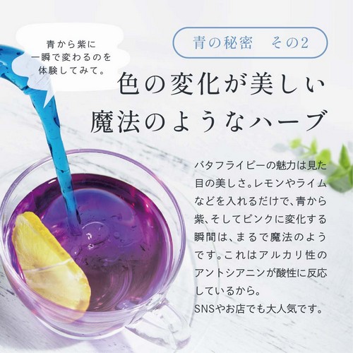 青の秘密その2　色の変化が美しい魔法のようなハーブ。バタフライピーの魅力は見た目の美しさ。レモンやライムなどを入れるだけで青から紫、そしてピンクに変化する瞬間は、まるで魔法のようです。これはアルカリ性のアントシアニンが酸性に反応しているから。SNSやお店でも大人気です。