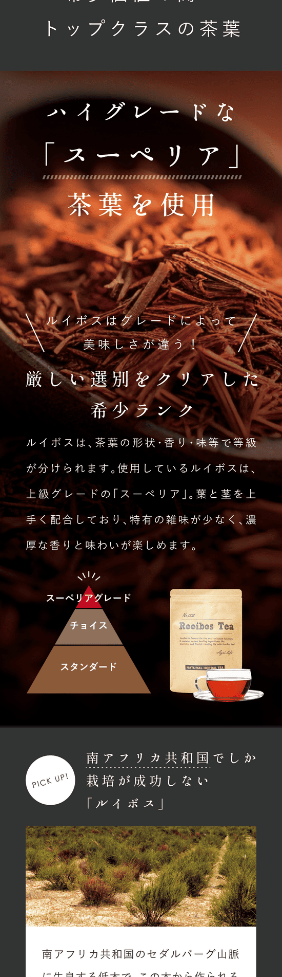 ハイグレードなスーペリアを使用。ルイボスはグレードによって美味しさが違う!厳しい選別をクリアした希少ランク。ルイボスは茶葉の形状・香り・味等で等級が分けられます。使用しているのはルイボスは上級グレードの「スーペリア」。葉と茎を上手く配合しており特有の雑味が少なく濃厚な香りと味わいが楽しめます。PICK UP!南アフリカ共和国でしか栽培が成功しない「ルイボス」。南アフリカ共和国のセダルバーグ山脈に生息する低木でこの木から作られるお茶を「ルイボスティー」と呼びます。強い日差しと昼夜の寒暖差が30℃以上になることもある過酷な環境地。ここでしか育たない栄養価の高い貴重な植物です。