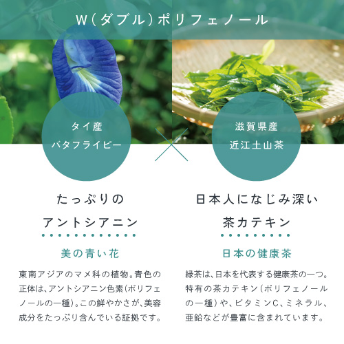 前野茶師と共同開発。滋賀県老舗茶問屋「丸安茶業」を営む前野茶師をつくった待望の美味しい健康茶、誕生！