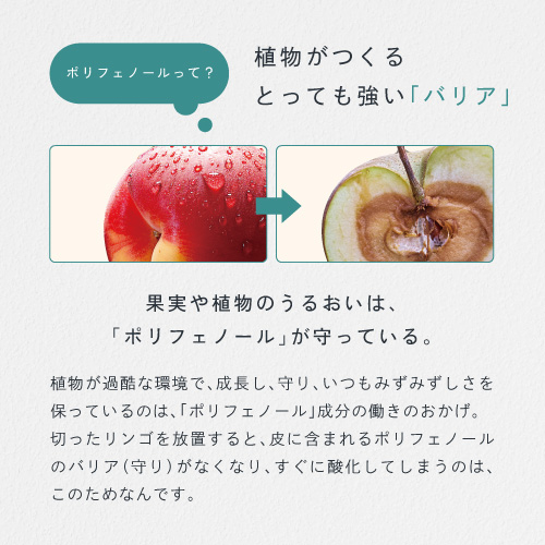 「ポリフェノール」ってすごい！毎日飲むとやっぱり実感！「年齢にともなってカラダの衰えが気になる…」パソコンやスマホ疲れ、年齢より老けて見える、脂っこい食べ物不規則な食生活。そんな方に1度試していただきたい！