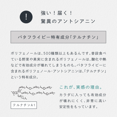 Wポリフェノールの青い健康茶！バタフライピーアントシアニン：手摘みバタフライピーの豊かなポリフェノールたっぷり。天然青色素。近江土山産煎茶茶カテキン：緑茶特有の渋みのもととなるポリフェノール。まったり深い味わいの土山茶を厳選。