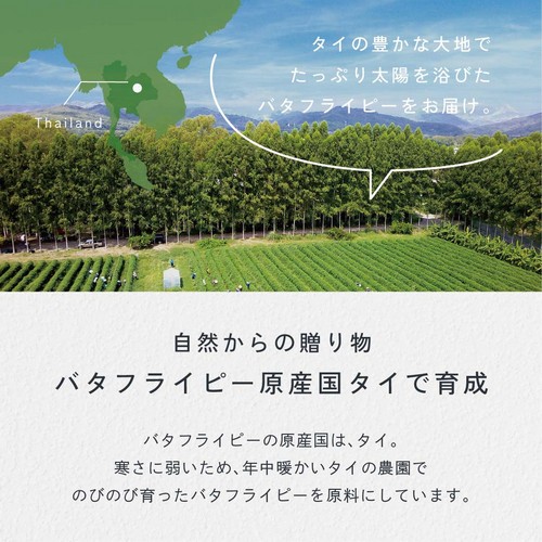 タイの豊かな大地でたっぷり太陽を浴びたバタフライピー。自然からの贈り物。バタフライピー原産国タイで育成。バタフライピーの原産国はタイ。寒さに弱いため年中暖かいタイの農園でのびのび育ったバタフライピーを原料にしています。