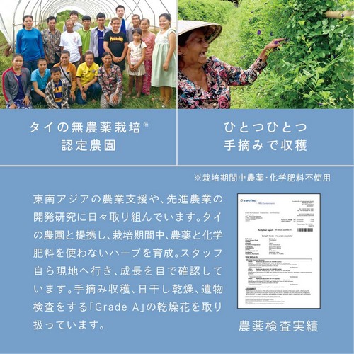 東南アジアの農業支援や先進農業の開発研究に日々取り組んでいます。タイの農園と提携し、栽培期間中、農薬と化学肥料を使わないハーブを育成。スタッフ自ら現地へ行き、成長を目で確認しています。手摘み収穫、日干し乾燥、遺物検査をする「Gread A」の乾燥花を取り扱っています。