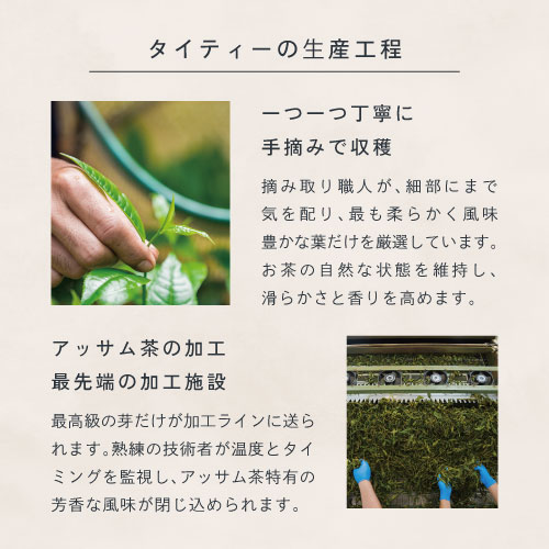 タイティーの生産工程。一つ一つ丁寧に手摘みで収穫。摘み取り職人が細部にまで気を配り最も柔らかく風味豊かな葉だけを厳選しています。お茶の自然な状態を維持し滑らかさと香りを高めます。アッサム茶の加工、最先端の加工施設。最高級の芽だけが加工ラインに送られます。熟練の技術者が温度とタイミングを監視し、アッサム茶特有の芳香な風味が閉じ込められます。