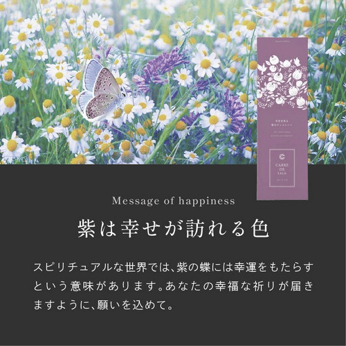 Massage of happiness 紫は幸せが訪れる色。スピリチュアルな世界では、紫の蝶には幸運をもたらすという意味があります。あなたの幸運な祈りが届きますように、願いを込めて。