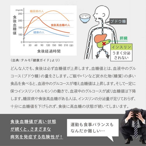 どんな人でも、食後は必ず血糖値が上昇します。血糖値とは、血液中のグルコース（ブドウ糖）の量をさします。ご飯やパンなど炭水化物（糖質）の多い食品を食べると、血液中のグルコースが増え血糖値は上昇します。そして一定に保つインスリン（ホルモン）の働きで、血液中のグルコースが減り血糖値は下降します。糖尿病や食後高血糖がある人は、インスリンの分泌量が足りておらず、十分に血糖値を下げられず、食後に高血糖の状態が続いてしまいます。食後血糖値が高い状態が続くと、さまざまな病気を発症する危険性が！運動も食事バランスもなんだか難しい…