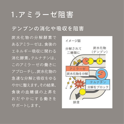 1.アミラーゼ阻害　デンプンの消化や吸収を阻害。炭水化物の分解酵素であるアミラーゼは、食後のエネルギー吸収に関わる消化酵素。テルナチンは、このアミラーゼの働きにアプローチし、炭水化物の急速な分解と吸収をゆるやかに整えます。その結果、食後の血糖値の上昇をおだやかにする働きをサポートします。