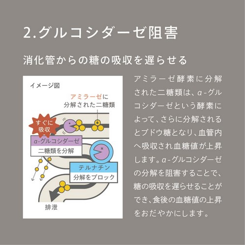 2.グルコシダーゼ阻害　消化管からの糖の吸収を遅らせる。アミラーゼ酵素に分解された二糖類は、α-グルコシダーゼという酵素によって、さらに分解されるとブドウ糖となり、血管内へ吸収され血糖値が上昇します。α-グルコシダーゼの分解を阻害することで、糖の吸収を遅らせることができ、食後の血糖値の上昇をおだやかにします。