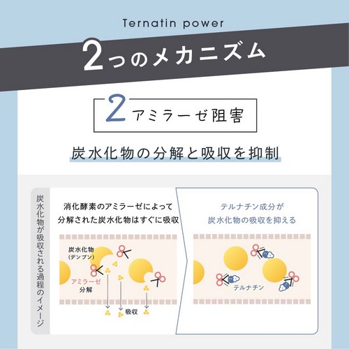 2.アミラーゼ阻害。炭水化物の分解と吸収を抑制。消化酵素のアミラーゼによって分解された炭水化物はすぐに吸収。テルナチン成分が炭水化物の吸収を抑える。