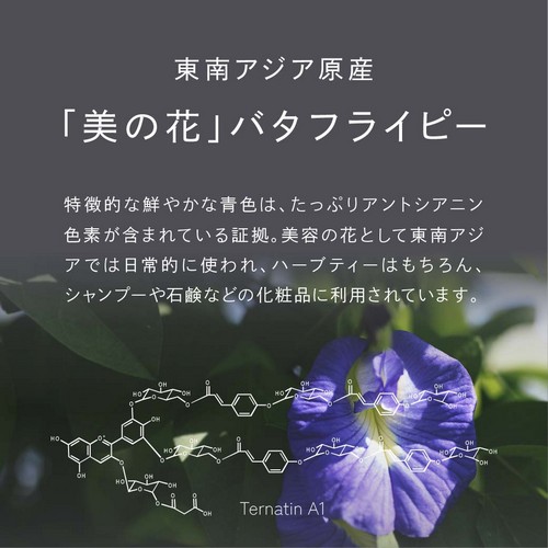 東南アジア原産「美の花」バタフライピー。特徴的な鮮やかな青色はたっぷりアントシアニン色素が含まれている証拠。美容の花として東南アジアでは日常的に使われハーブティーとしてはもちろんシャンプーや石鹸などの化粧品に利用されています。