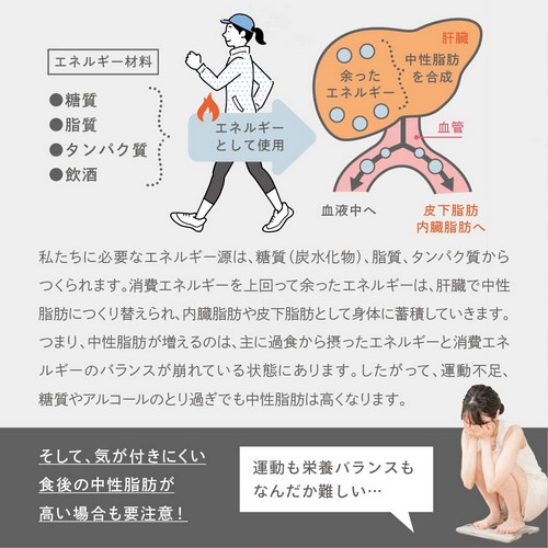 私たちに必要なエネルギー源は、糖質（炭水化物）、脂質、タンパク質からつくられます。消費エネルギーを上回って余ったエネルギーは、肝臓で中性脂肪につくり替えられ、内臓脂肪や皮下脂肪として身体に蓄積していきます。つまり、中性脂肪が増えるのは、主に過食から摂ったエネルギーと消費エネルギーのバランスが崩れている状態にあります。したがって、運動不足、糖質やアルコールのとり過ぎでも中性脂肪は高くなります。そして、気が付きにくい食後の中性脂肪が高い場合も要注意！運動も栄養バランスもなんだか難しい…