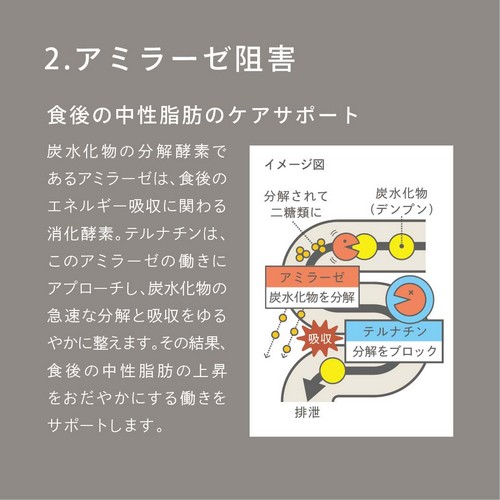 2.アミラーゼ阻害。食後の中性脂肪のケアサポート。炭水化物の分解酵素であるアミラーゼは、食後のエネルギー吸収に関わる消化酵素。テルナチンは、このアミラーゼの働きにアプローチし、炭水化物の急速な分解と吸収をゆるやかに整えます。その結果、食後の中性脂肪の上昇をおだやかにする働きをサポートします。