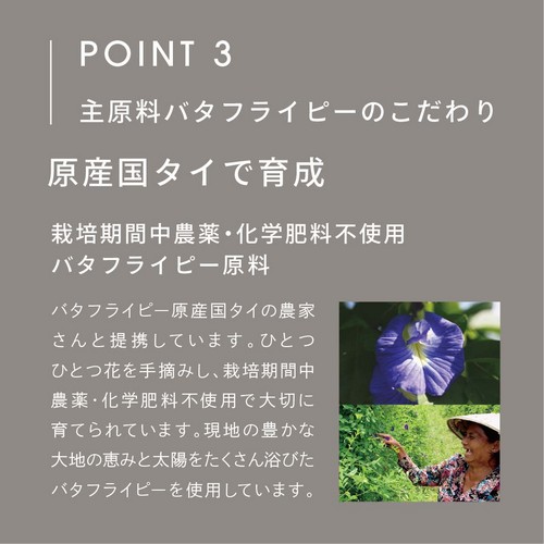 POINT 3 主原料バタフライピーのこだわり。原産国タイで育成。栽培期間中農薬・化学肥料不使用バタフライピー原料。バタフライピー原産国タイの農家さんと提携しています。ひとつひとつ花を手摘みし、栽培期間中農薬・化学肥料不使用で大切に育てられています。現地の豊かな大地の恵みと太陽をたくさん浴びたバタフライピーを使用しています。