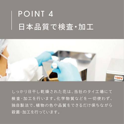POINT 4 日本品質で検査・加工。しっかり日干し乾燥された花は、当社のタイ工場にて検査・加工を行います。化学物質などを一切使わず、独自製法で、植物の色や品質をできるだけ保ちながら殺菌・加工を行っています。