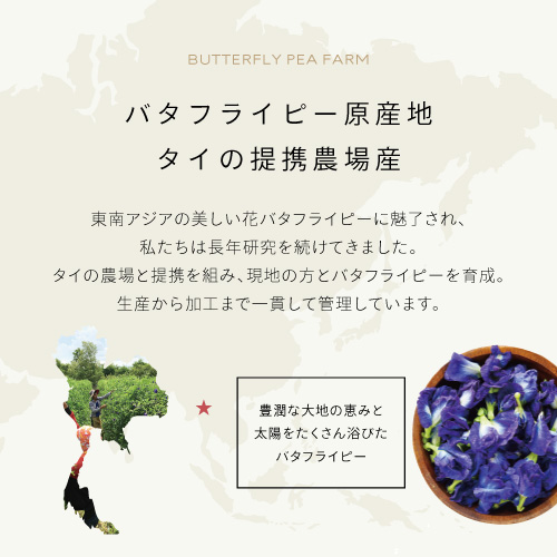 バタフライピー原産地タイの提携農場産　東南アジアの美しい花バタフライピーに魅了され、私たちは長年研究を続けてきました。タイの農場と提携を組み、現地の方とバタフライピーを育成。生産から加工まで一貫して管理しています。豊富な大地の恵みと太陽をたくさん浴びたバタフライピー。