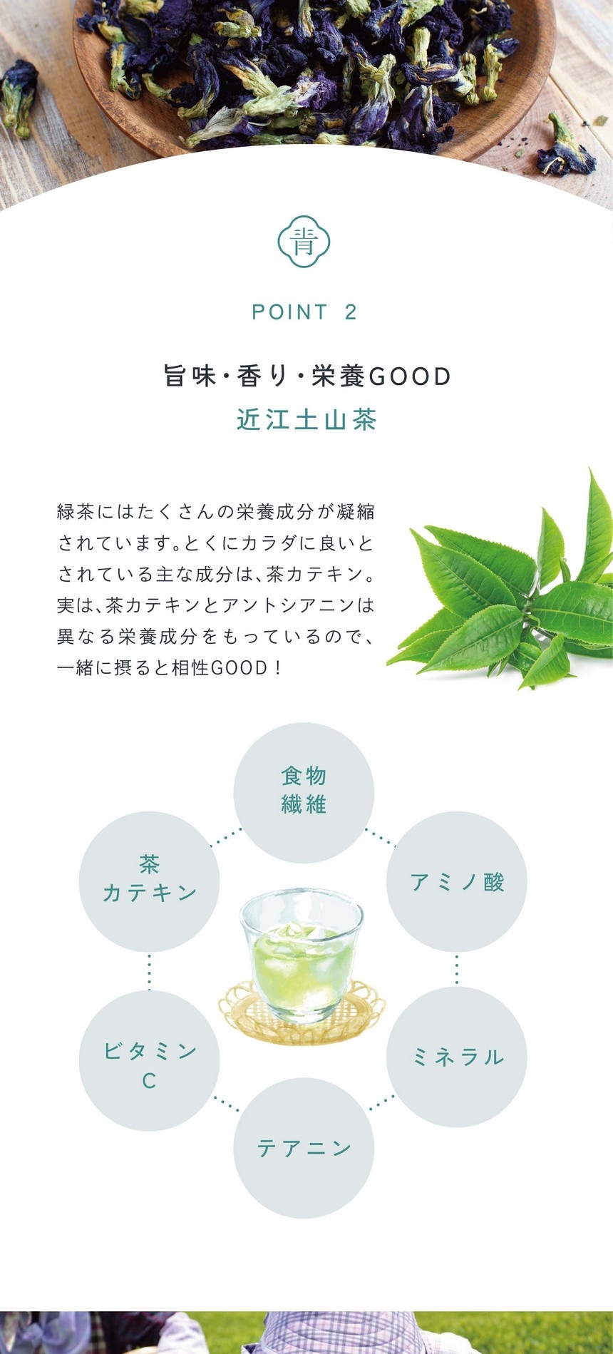 point 02 旨味・香り・栄養GOOD近江土山茶。緑茶にはたくさんの栄養成分が凝縮されています。とくにカラダに良いとされている主な成分は茶カテキン。実は、茶カテキンとアントシアニンは異なる栄養成分をもっているので一緒に摂ると相性GOOD！