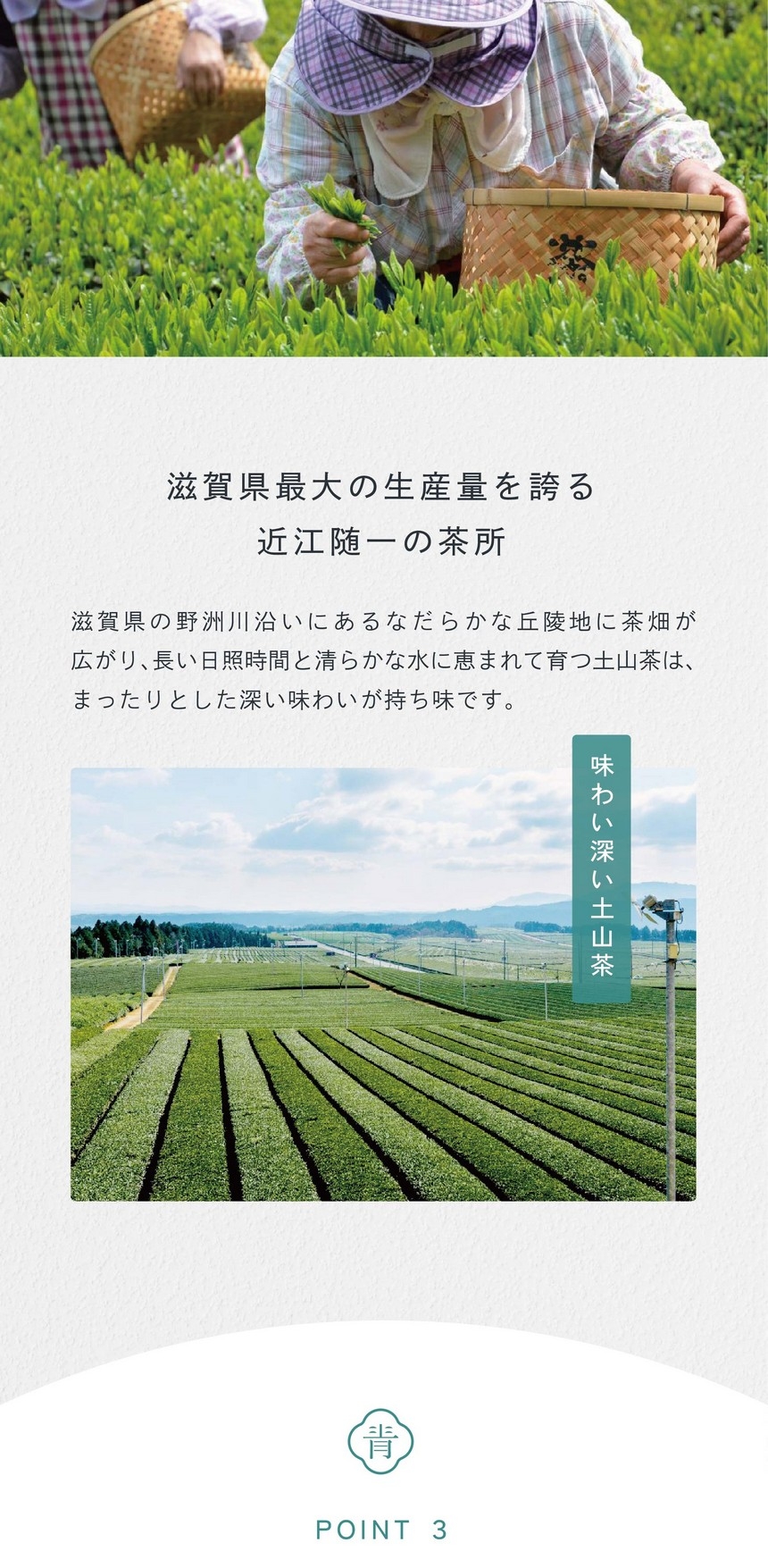 滋賀県最大の生産量を誇る近江随一の茶所。滋賀県の野洲川沿いにあるなだらかな丘隆地に茶畑が広がり、長い日照時間と清らかな水に恵まれて育つ土山茶はまったりとした深い味わいが持ち味です。