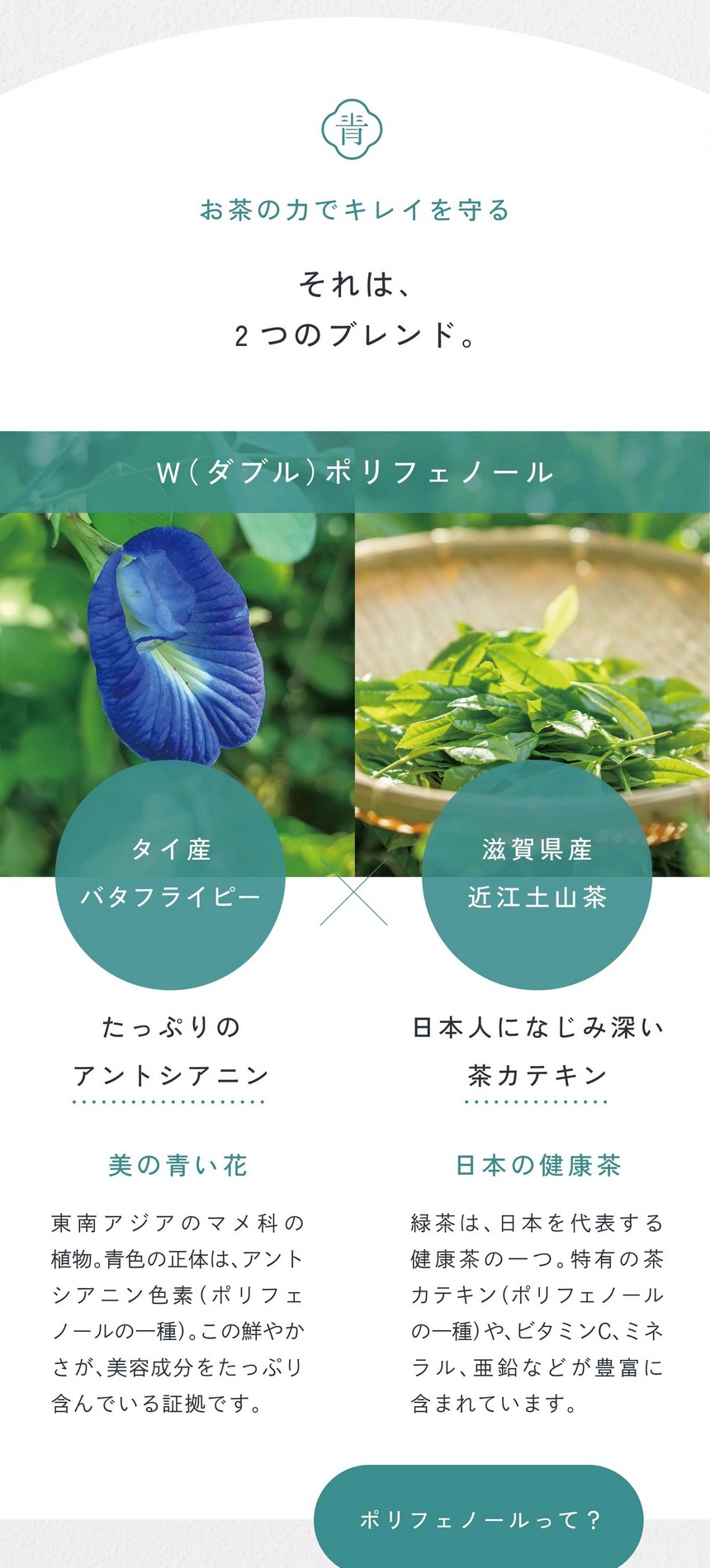 お茶の力でキレイを守る。それは2つのブレンド。W（ダブル）ポリフェノール。タイ産バタフライピー：たっぷりのアントシアニン。美の青い花。東南アジアのマメ科の植物。青色の正体は、アントシアニン（ポリフェノールの一種）。この鮮やかさが美容成分をたっぷり含んでいる証拠です。滋賀県産近江土山茶：日本人になじみ深い茶カテキン。日本の健康茶。緑茶は日本を代表する健康茶の一つ。特有の茶カテキン（ポリフェノールの一種）や、ビタミンC、ミネラル、亜鉛などが豊富に含まれています。