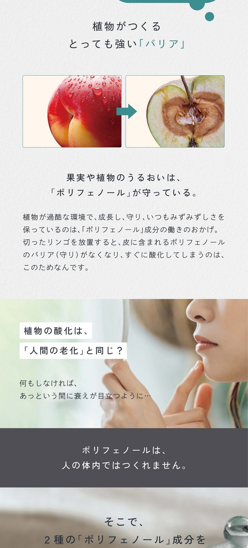 ポリフェノールって？植物がつくるとっても強い「バリア」。果実や植物のうるおいは「ポリフェノール」が守っている。植物が過酷な環境で成長し守り、いつもみずみずしさを保っているのは「ポリフェノール」成分の働きのおかげ。切ったリンゴを放置すると皮に含まれるポリフェノールのバリア（守り）がなくなり、すぐに酸化してしまうのはこのためなんです。植物の酸化は人間の老化と同じ？何もしなければあっという間に衰えが目立つように。ポリフェノールは人の体内ではつくれません。そこで2種のポリフェノール成分をぎゅっと1杯に。