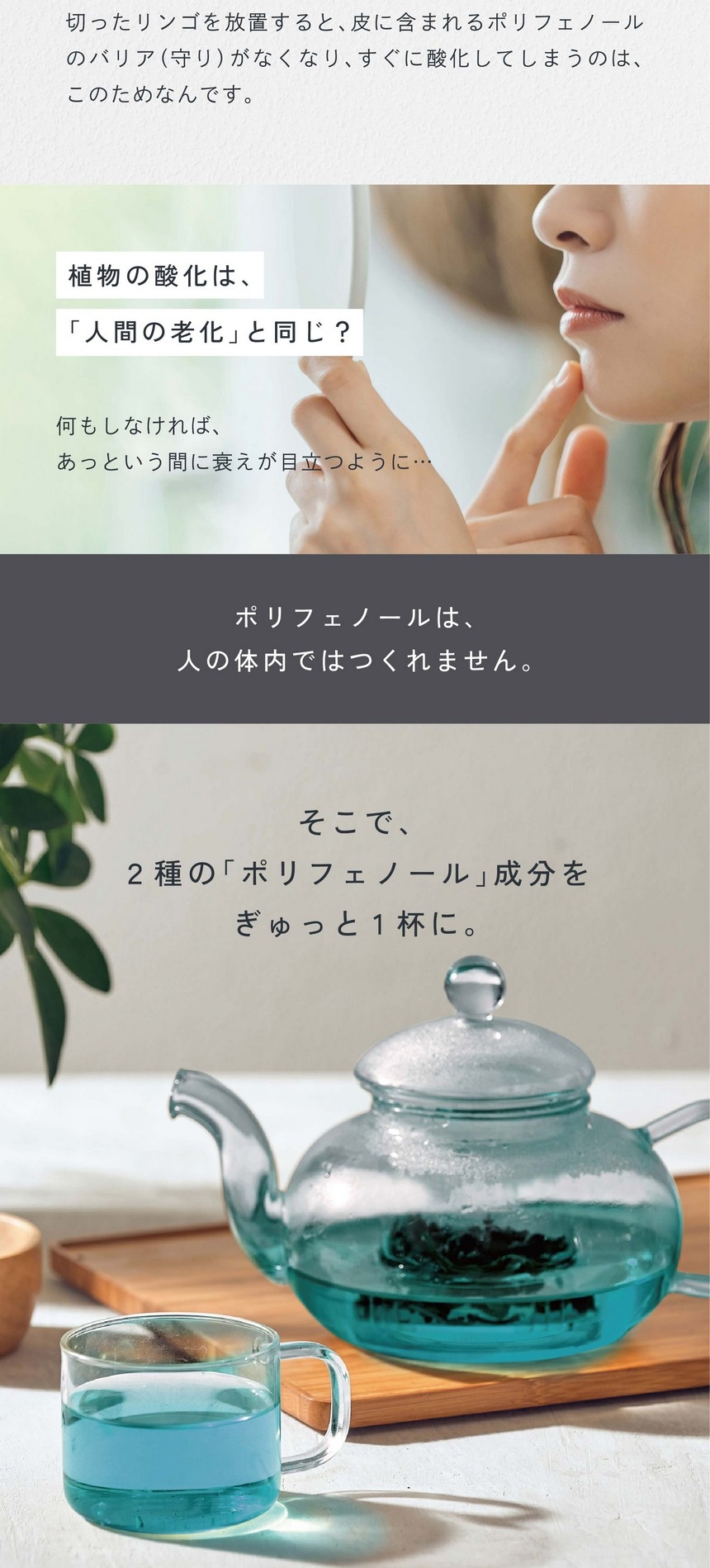 ポリフェノールって？植物がつくるとっても強い「バリア」。果実や植物のうるおいは「ポリフェノール」が守っている。植物が過酷な環境で成長し守り、いつもみずみずしさを保っているのは「ポリフェノール」成分の働きのおかげ。切ったリンゴを放置すると皮に含まれるポリフェノールのバリア（守り）がなくなり、すぐに酸化してしまうのはこのためなんです。植物の酸化は人間の老化と同じ？何もしなければあっという間に衰えが目立つように。ポリフェノールは人の体内ではつくれません。そこで2種のポリフェノール成分をぎゅっと1杯に。