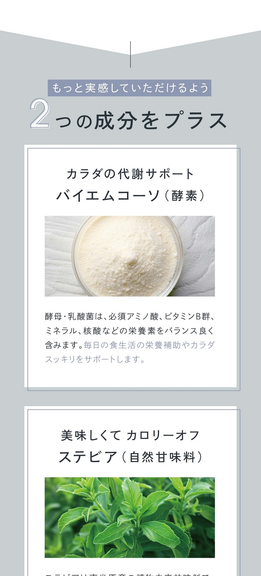もっと実感していただけるよう2つの成分をプラス/カラダの代謝サポートバイエムコーソ（酵素）酵母・乳酸菌は必須アミノ酸、ビタミンB群、ミネラル、核酸などの栄養素をバランス良く含みます。毎日の食生活の栄養補助やカラダスッキリをサポートします。美味しくてカロリーオフステビア（自然甘味料）/ステビアは南米原産の植物由来甘味料で砂糖の約200倍の甘さを持ちながらほぼカロリーゼロ。砂糖を加えなくても美味しく甘さを感じる低カロリーの健康ハーブティーに仕上げました。低糖質1杯あたりのカロリー11kcal。