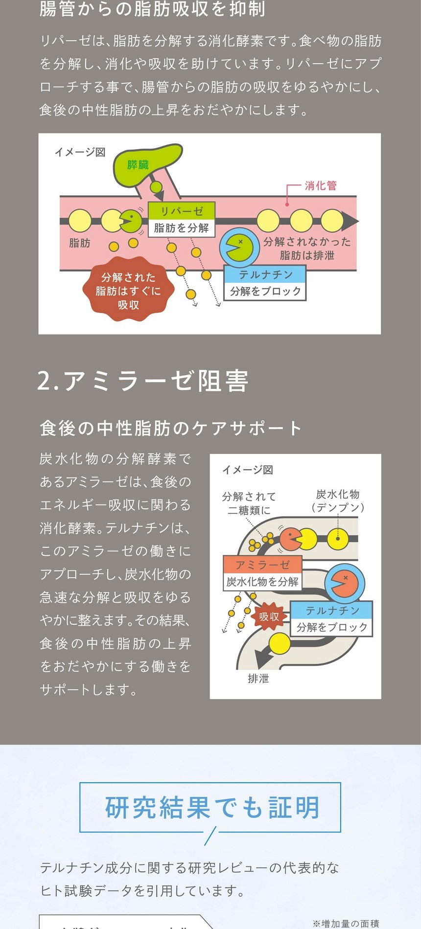 bluesmarttea_pc-33
