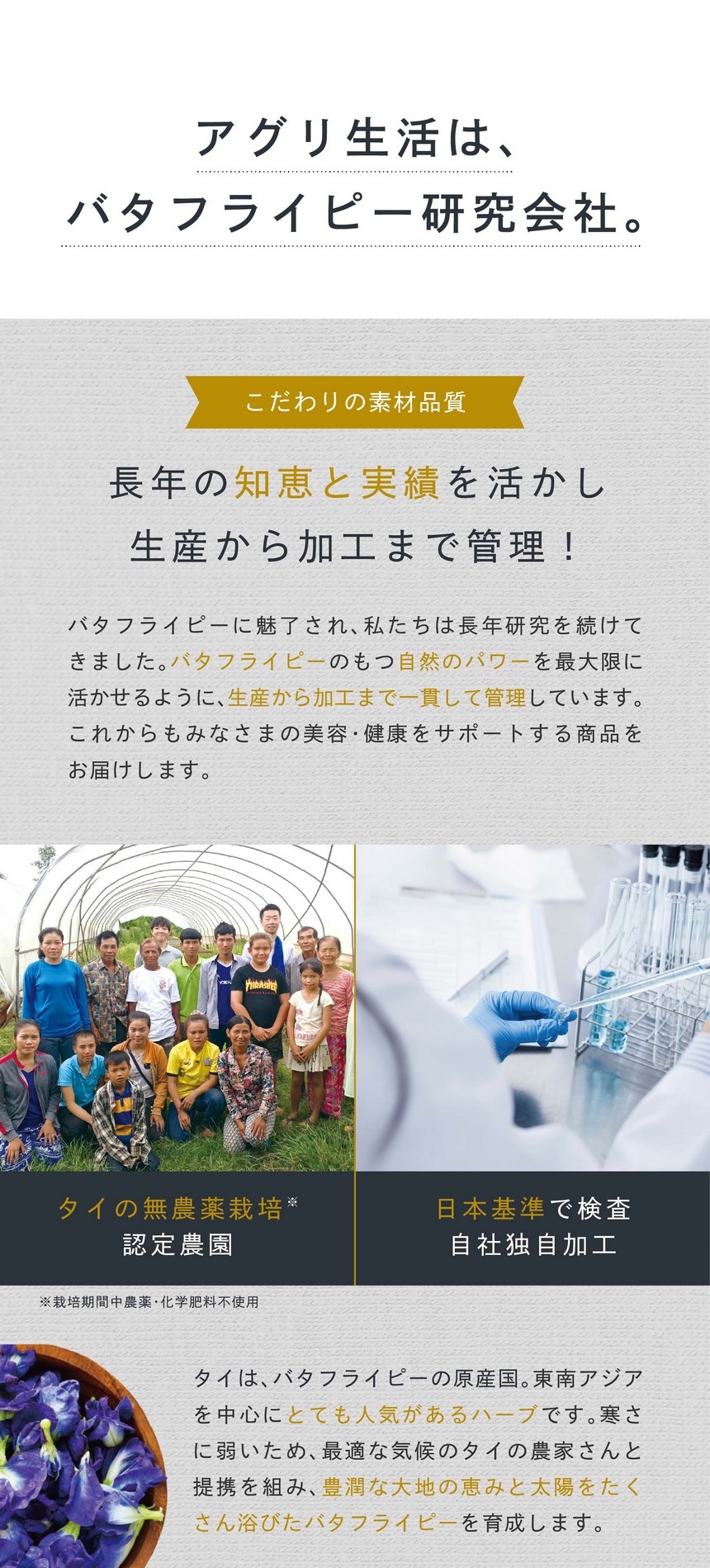 アグリ生活はバタフライピー研究会社です。こだわりの素材品質。長年の知恵と実績を活かし生産から加工まで管理！バタフライピーに魅了され私たちは長年研究を続けてきました。バタフライピーのもつ自然のパワーを最大限に活かせるように、生産から加工まで一貫して管理しています。これからもみなさまの美容・健康をサポートする商品をお届けします。タイの無農薬栽培認定農園。日本基準で検査・自社独自加工。