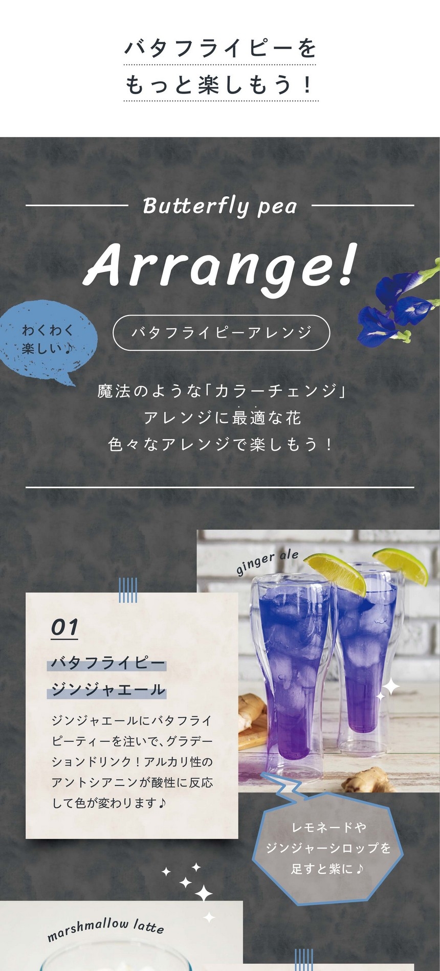 わくわくする美味しいアレンジ。魔法のような「カラーチェンジ」アレンジに最適な花。レモンやタイムなどを入れるだけで青から紫、そしてピンクに変化する瞬間はとても幻想的。これはアルカリ性のアントシアニンが酸性に反応しているから。バタフライピーはほとんど味がなくドリンクやスイーツと合わせても味の邪魔をしないのでアレンジに最適です。