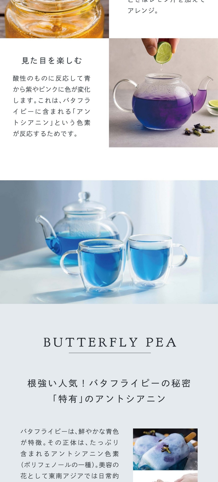 味わいをもっと楽しむ。甘味を足したいときは蜂蜜を、アクセントが欲しいときはレモン汁を加えてアレンジ。見た目を楽しむ。酸性のものに反応して青から紫やピンクに色が変化します。これはバタフライピーに含まれる「アントシアニン」という色素が反応するためです。Butterfly pea 根強い人気！バタフライピーの秘密「特有」のアントシアニン。バタフライピーは鮮やかな青色が特徴。その正体はたっぷり含まれるアントシアニン色素（ポリフェノールの一種）。美容の花として東南アジアでは日常的に使われ、ハーブティー以外にもシャンプーや石鹸などの化粧品に使われています。