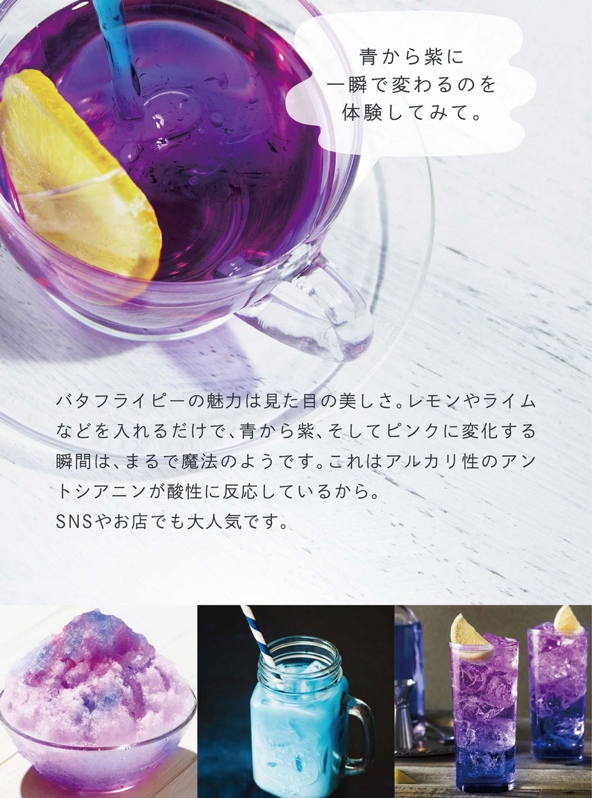 青の秘密その2　色の変化が美しい魔法のようなハーブ。バタフライピーの魅力は見た目の美しさ。レモンやライムなどを入れるだけで青から紫、そしてピンクに変化する瞬間は、まるで魔法のようです。これはアルカリ性のアントシアニンが酸性に反応しているから。SNSやお店でも大人気です。