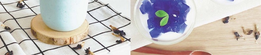 bppowder-ekisu_pc-32-1