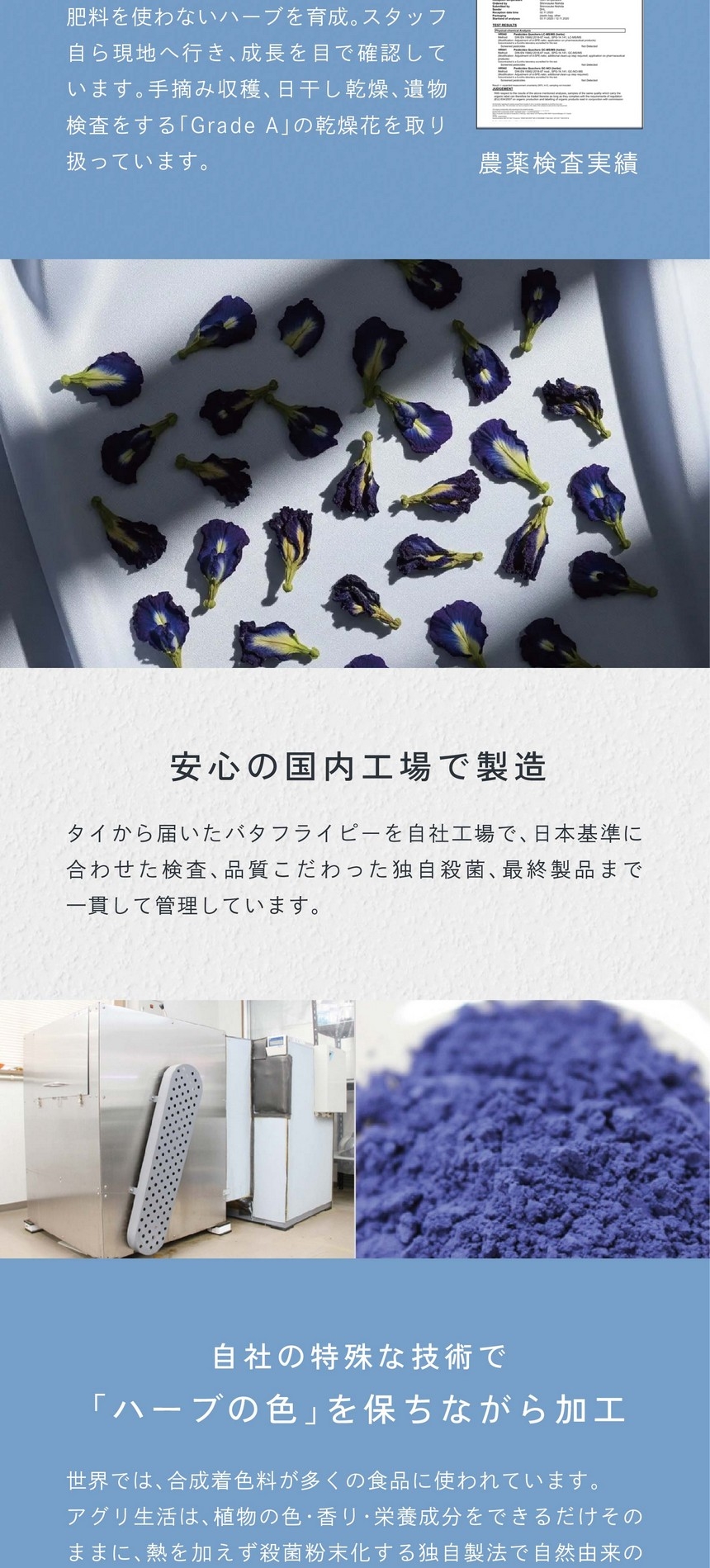 安心の国内工場で製造。タイから届いたバタフライピーを自社工場で日本基準に合わせた検査、品質にこだわった独自殺菌、最終製品まで一貫して管理しています。自社の特殊な技術で「ハーブの色」を保ちながら加工。世界では合成着色料が多くの食品に使われています。アグリ生活は植物の色・香り・栄養成分をできるだけそのままに、熱を加えず殺菌粉末化する独自製法で自然由来の着色料を開発しました。大腸菌・大腸菌群陰性。一般生菌3,000cfu/g以下。