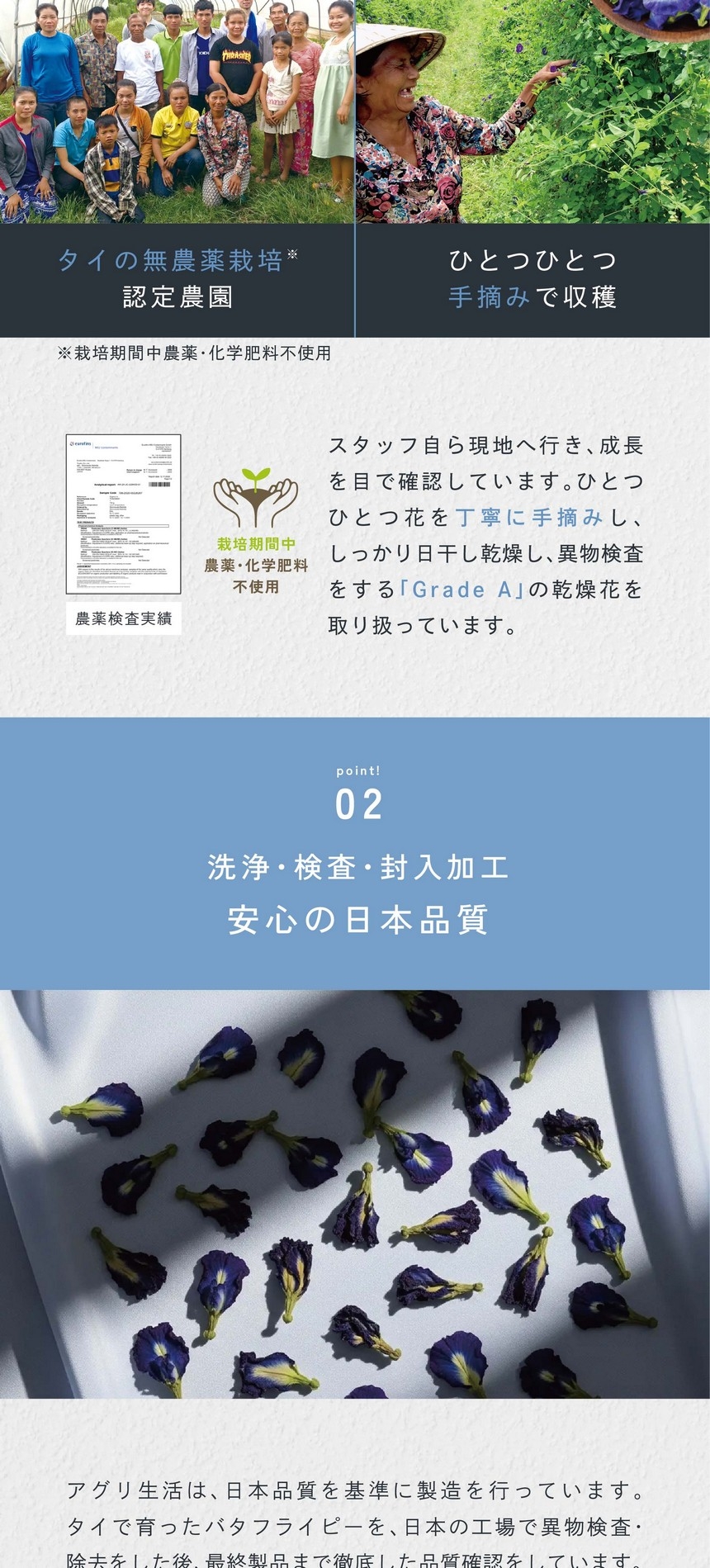 タイの無農薬栽培※栽培期間中農薬・化学肥料不使用。ひとつひとつ手摘みで収穫。スタッフ自ら現地へ行き、成長を目で確認しています。ひとつひとつ花を丁寧に手摘みし、しっかり日干し乾燥し、遺物検査をする「GradeA」の乾燥花を取り扱っています。