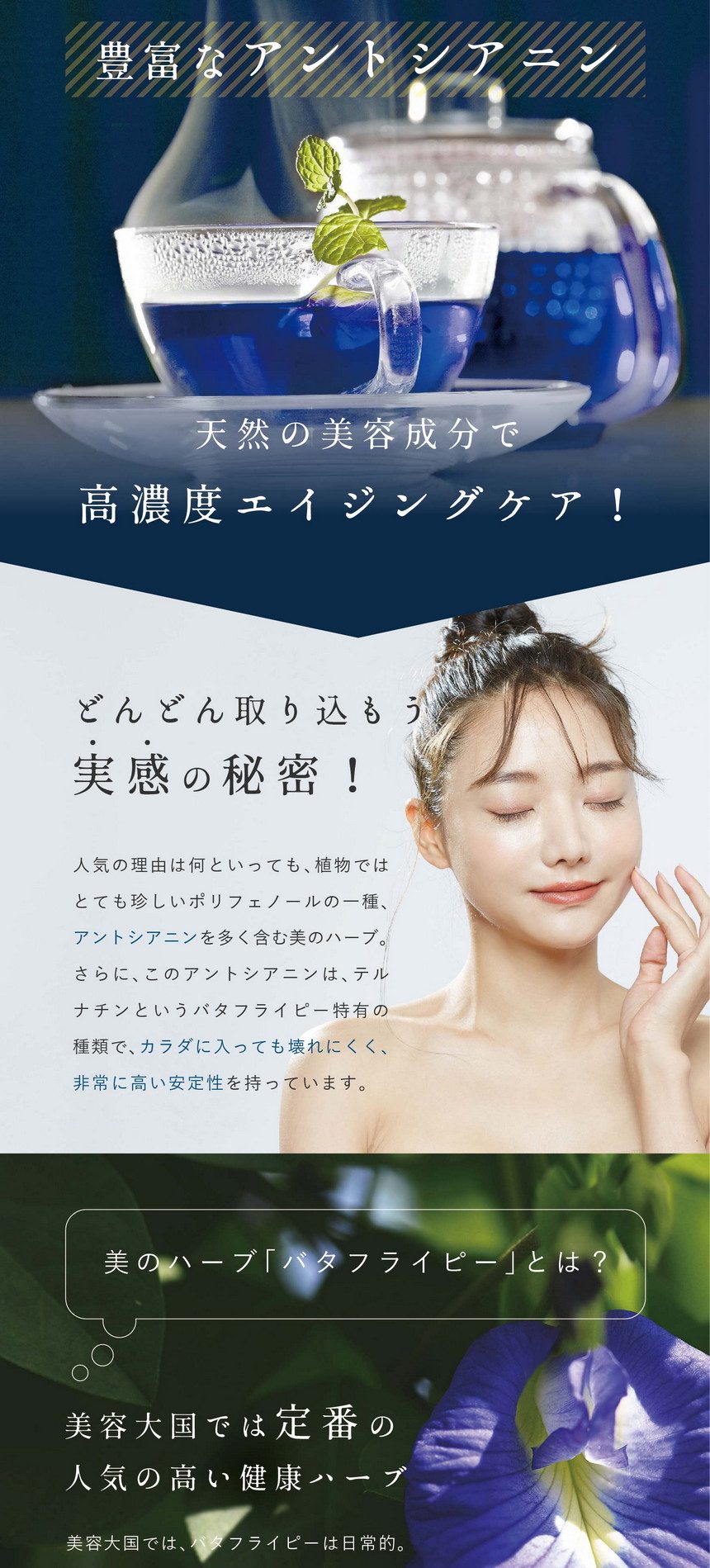 なぜ、こんなにバタフライピーが人気なのか？それは、たった1杯で摂れる豊富なアントシアニン。天然の美容成分で高濃度エイジングケア！