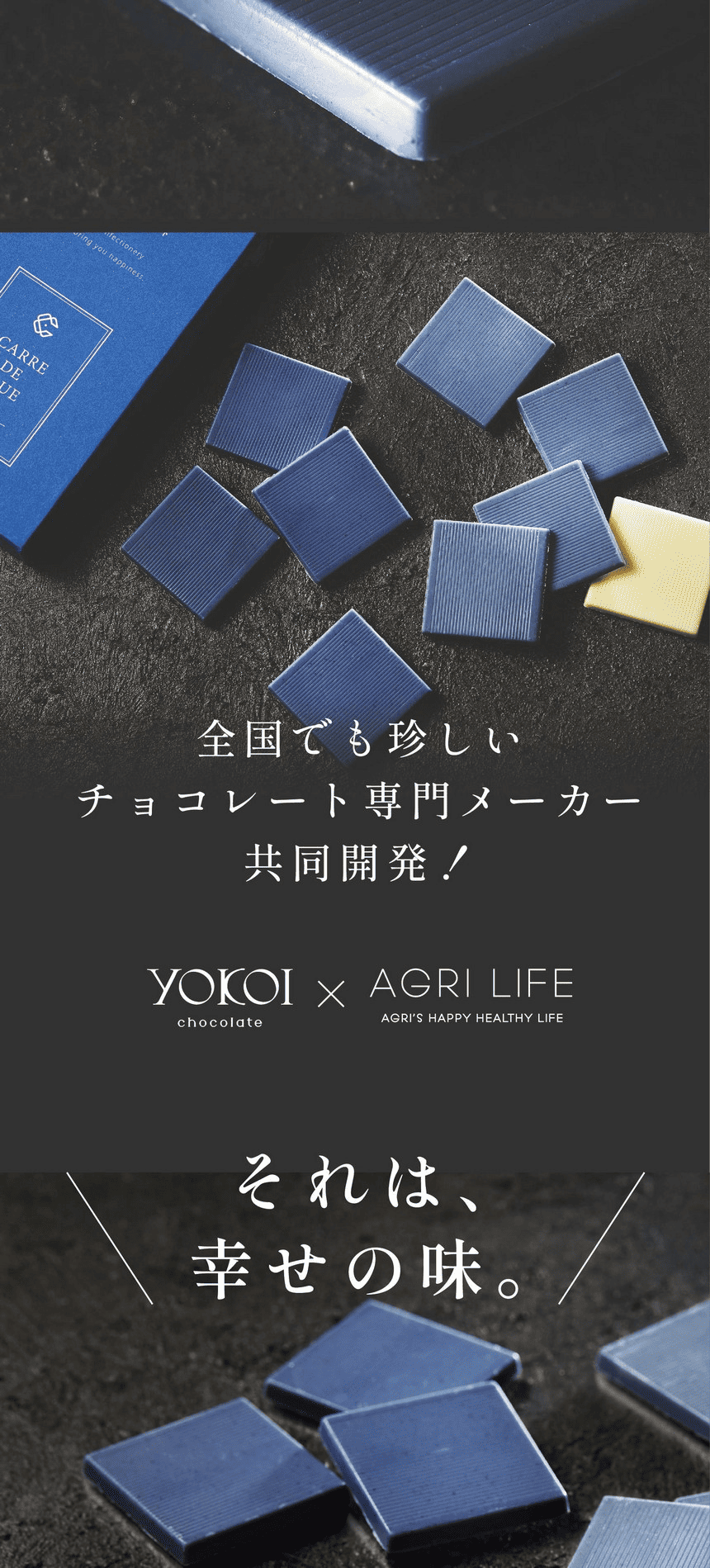 チョコ　５点 ミニクランチ 6個入り – Decadence du Chocolat