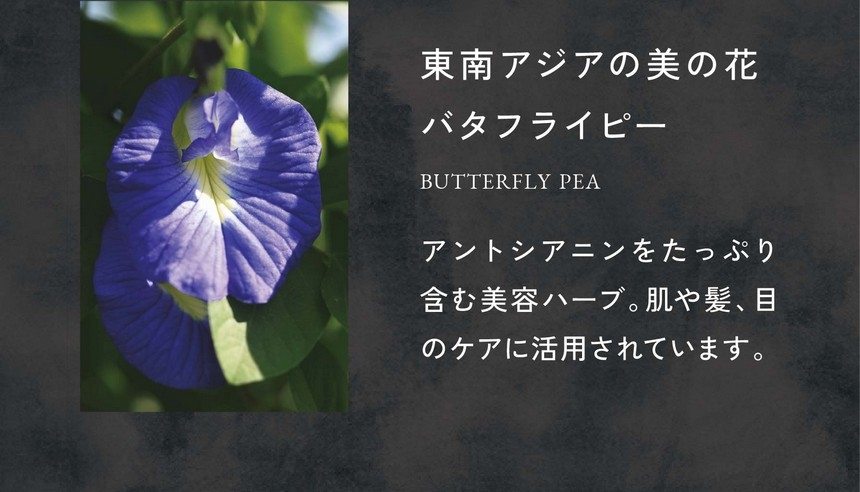 CARRE DE 4COLORS Bouquet カレドフォーカラーズ ブーケ - 健康な毎日
