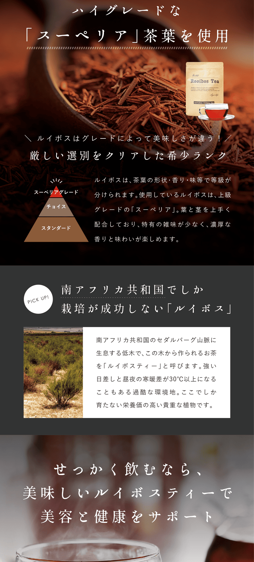 rooibos_pc-32 ハイグレードなスーペリアを使用。ルイボスはグレードによって美味しさが違う!厳しい選別をクリアした希少ランク。ルイボスは茶葉の形状・香り・味等で等級が分けられます。使用しているのはルイボスは上級グレードの「スーペリア」。葉と茎を上手く配合しており特有の雑味が少なく濃厚な香りと味わいが楽しめます。PICK UP!南アフリカ共和国でしか栽培が成功しない「ルイボス」。南アフリカ共和国のセダルバーグ山脈に生息する低木でこの木から作られるお茶を「ルイボスティー」と呼びます。強い日差しと昼夜の寒暖差が30℃以上になることもある過酷な環境地。ここでしか育たない栄養価の高い貴重な植物です。せっかく飲むなら美味しいルイボスティーで美容と健康をサポート。