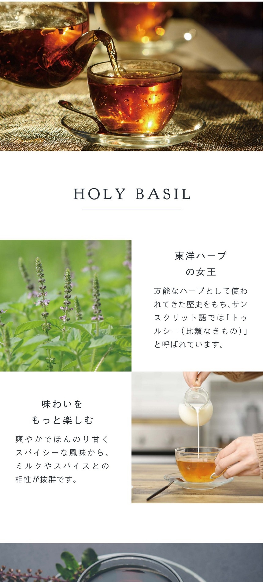 東洋ハーブの女王。万能なハーブとして使われてきた歴史をもち、サンスクリット語では「トゥルシー（比類なきもの）」と呼ばれています。味わいをもっと楽しむ。爽やかでほんのり甘くスパイシーな風味からミルクやスパイスとの相性が抜群です。