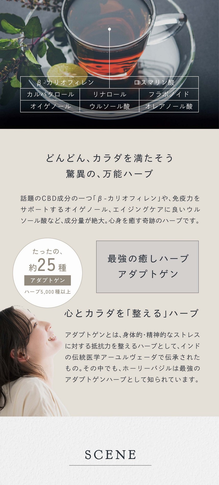 β-カリオフィレン・ロスマリン酸・カルバクロール・リナロール・フラボノイド・オイゲノール・ウルソール酸・オレアノール酸。どんどんカラダを満たそう。驚異の万能ハーブ。話題のCBD成分の一つ「β-カリオフィレン」や免疫力をサポートするオイゲノール、エイジングケアに良いウルソール酸など成分量が絶大。心身を癒す奇跡のハーブです。HOLY BASIL　5,000種のハーブでアダプトゲンはたったの約25種。最強の癒しハーブアダプトゲン。心とカラダを整えるハーブ。アダプトゲンとは身体的・精神的なストレスに対する抵抗力を整えるハーブとしてインドの伝統医学アーユルヴェーダで伝承されたもの。その中でもホーリーバジルは最強のアダプトゲンハーブとして知られています。