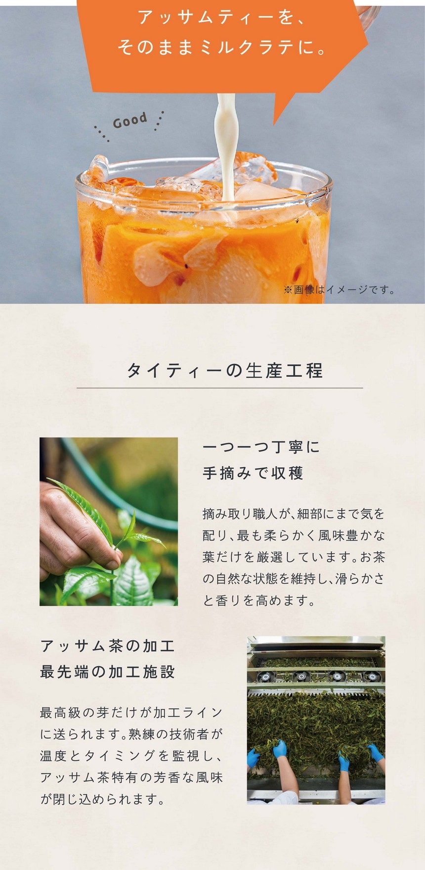 本格的で香り高いアッサムティーを、そのままミルクラテに。タイティーの生産工程。一つ一つ丁寧に手摘みで収穫。摘み取り職人が細部にまで気を配り最も柔らかく風味豊かな葉だけを厳選しています。お茶の自然な状態を維持し滑らかさと香りを高めます。アッサム茶の加工、最先端の加工施設。最高級の芽だけが加工ラインに送られます。熟練の技術者が温度とタイミングを監視し、アッサム茶特有の芳香な風味が閉じ込められます。